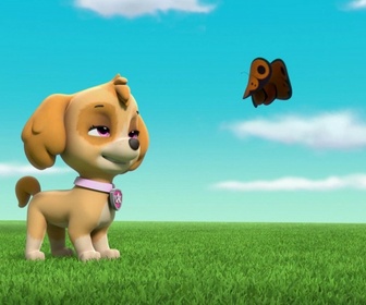 Replay Paw Patrol, la Pat'Patrouille - Sauvetage Extrême : Les Tigres Blancs