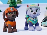 Replay Paw Patrol, la Pat'Patrouille - Les surfeurs des montagnes