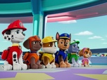 Replay Paw Patrol, la Pat'Patrouille - La grande parade des jumeaux