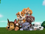 Replay Paw Patrol, la Pat'Patrouille - Trisha sème la pagaille