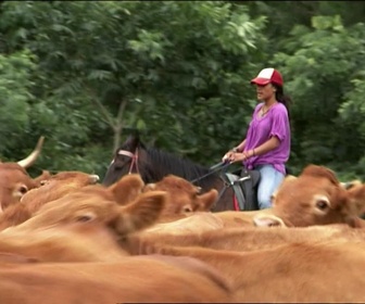 Replay Foudre - Miroirs de lune