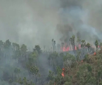 Replay C pas si loin - Feux de forêt en Nouvelle-Calédonie : prévenir la catastrophe