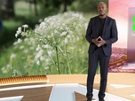 Replay Sept à huit Life du dimanche 31 août 2025