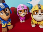 Replay S00 E73 - Compilation Paw Patrol, la Pat'Patrouille 73