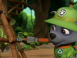 Replay Paw Patrol, la Pat'Patrouille - La surprise de Ryder