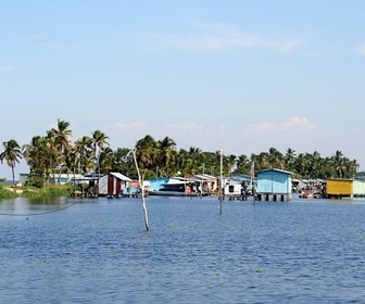 Replay Le lac des mille éclairs à Catatumbo - GEO Reportage