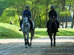 Replay ARTE JUNIOR Le magazine - A l'école de cavalerie Cadre Noir, le cheval à l'honneur