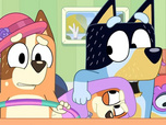 Replay Bluey - 17/12/2025