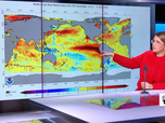 Replay Élément Terre, la quotidienne - Submersion des côtes californiennes: la conséquence d'un El Niño exceptionnel