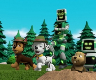 Replay Paw Patrol, la Pat'Patrouille - La machine chercheuse d'or