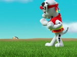 Replay Paw Patrol, la Pat'Patrouille - Maître Yumi