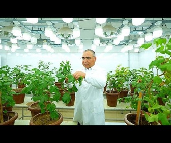 Replay Le ministre de l'agriculture ouzbek qui a transformé la génétique de l'agriculture