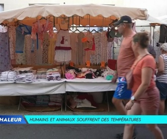 Replay TFX Infos - Les infos du 12 août 2025