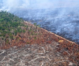 Replay Urgence climatique : un défi mondial - Quatre mois avant la COP, le Brésil assouplit sa législation verte