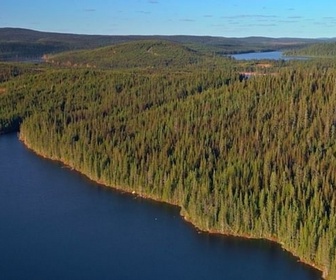 Replay Le Québec boréal - Canada, la force de la nature