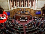 Replay 100% Sénat - Taxe Zucman : le Sénat rejette la proposition de loi