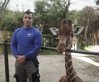 Replay Zoos : la gestion des animaux en question - ARTE Regards