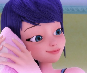 Replay Miraculous - Les aventures de Ladybug et Chat Noir - Dérision