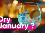 Replay Top Info - Pourquoi la France ne soutient pas officiellement le mois sans alcool ?