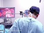 Replay Nos héros du quotidien - Au coeur des urgences vétérinaires
