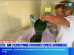 Replay Les longs formats des Locales - Dans Notre Histoire : au coeur d'une production de spiruline à Carcès