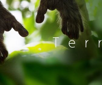Replay Terra