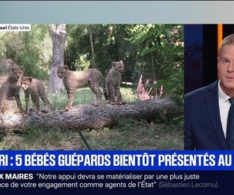 Replay BFM Première prématinale - Le break du 18 septembre