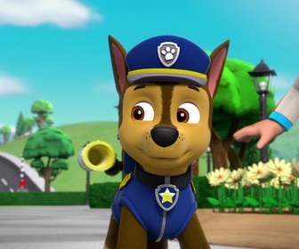 Replay Paw Patrol, la Pat'Patrouille - Les corbeaux
