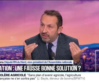 Replay 20H BFM - Dermatose bovine: pour Sébastien Chenu (RN), Annie Genevard sous-estime l'effet traumatique du monde paysan