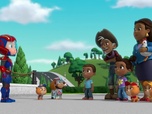Replay Paw Patrol, la Pat'Patrouille - La Super Patrouille : Nano a le hoquet