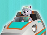 Replay Paw Patrol, la Pat'Patrouille - Le fantôme de la mare aux grenouilles