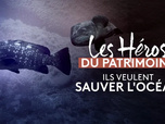 Replay Les héros du patrimoine - Ils veulent sauver l'océan