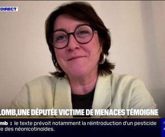 Replay 20H BFM - Loi Duplomb: Il y a un lynchage complet ces derniers jours, s'inquiète Sandra Marsaud, députée Ensemble pour la République