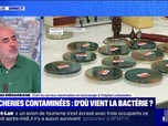 Replay Le live bfm - Contaminations : qu'est-ce que la bactérie E.coli ? - 28/06
