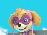 Replay Paw Patrol, la Pat'Patrouille - La grenouille qui vole