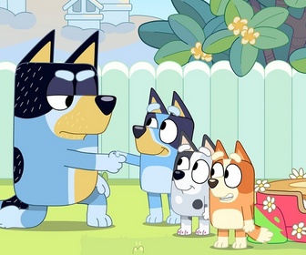 Replay Bluey - S2 E6 - La fête des souches