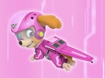 Replay Paw Patrol, la Pat'Patrouille - L'explorateur égaré