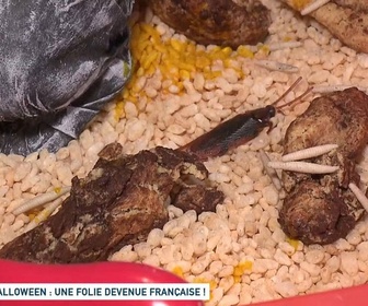 Replay Un jour, un doc - Halloween : une folie devenue française ! / Halloween : fête américaine, business français