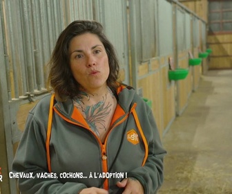 Animaux à adopter replay