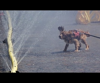 Replay Canicule en Allemagne : les habitants de Cologne se rafraîchissent dans la brume