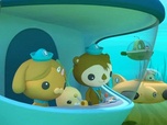 Replay Les Octonauts et les dauphins à long bec
