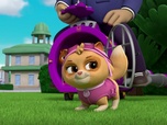 Replay Paw Patrol, la Pat'Patrouille - La Piñata