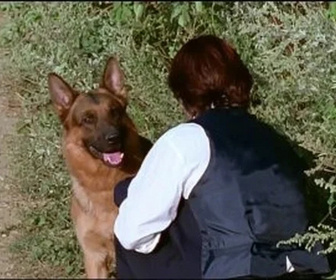 Replay Rex, chien flic - Séduction mortelle