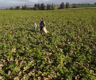 Replay Le goût du détail - Courge
