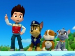 Replay Paw Patrol, la Pat'Patrouille - La piscine