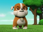 Replay Paw Patrol, la Pat'Patrouille - Sauvetage Extrême : Le bric-à-brac-mobile