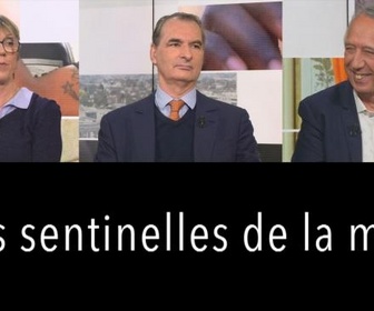 Replay DébatDoc - Peut-on encore sauver la Méditerranée ?