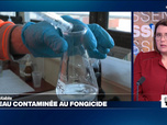 Replay Élément Terre, la quotidienne - France: de l'eau contaminée au fluopyram, un fongicide et un PFAS