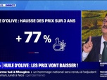 Replay La chronique éco - Huile d'olive: son prix va enfin baisser