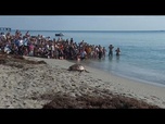 Replay La tortue de mer 'Pennywise' relâchée dans l'océan Atlantique après sa guérison